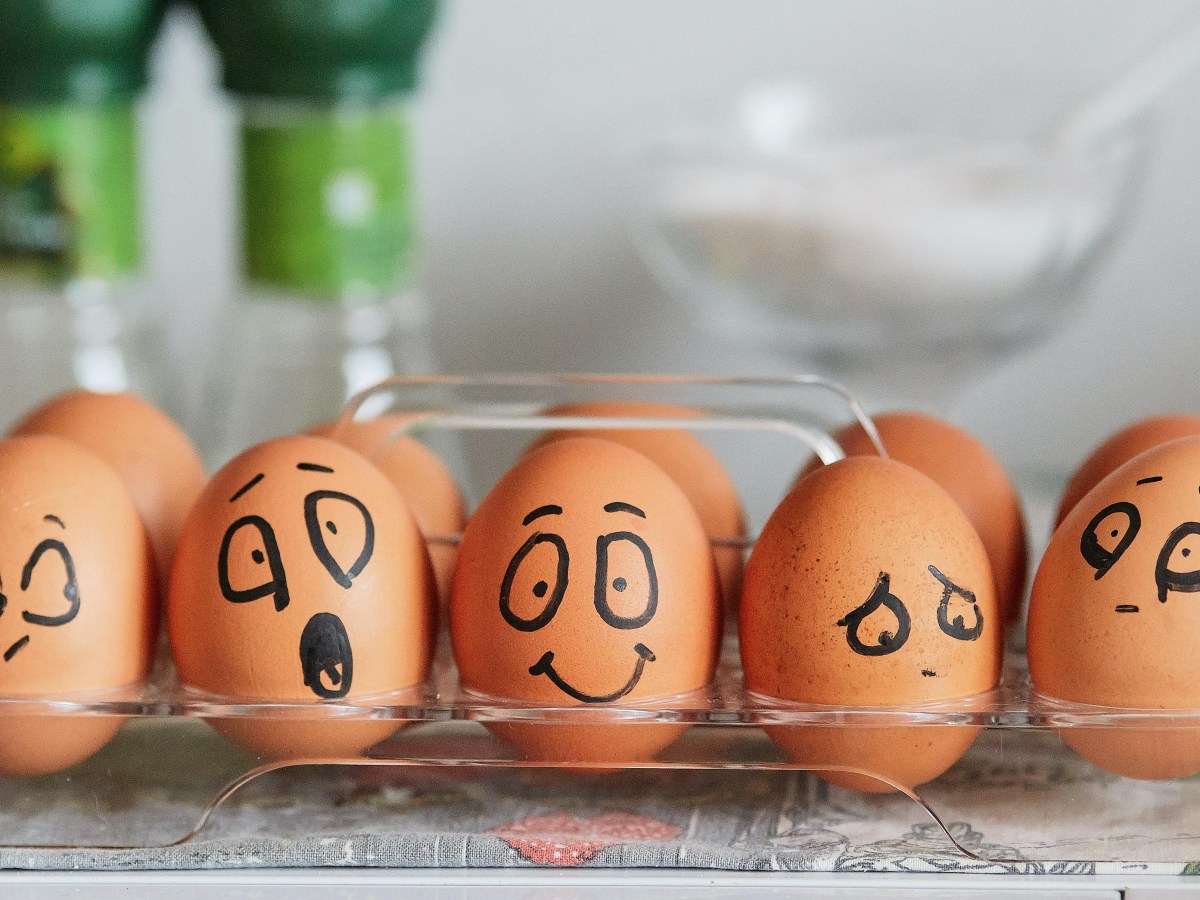 Watch What You’re&nbsp;Feeding